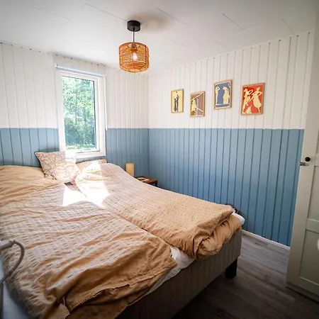 Ferienhaus House With Sauna, Cold Plunge And Anneks *