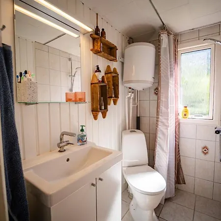 House With Sauna, Cold Plunge And Anneks